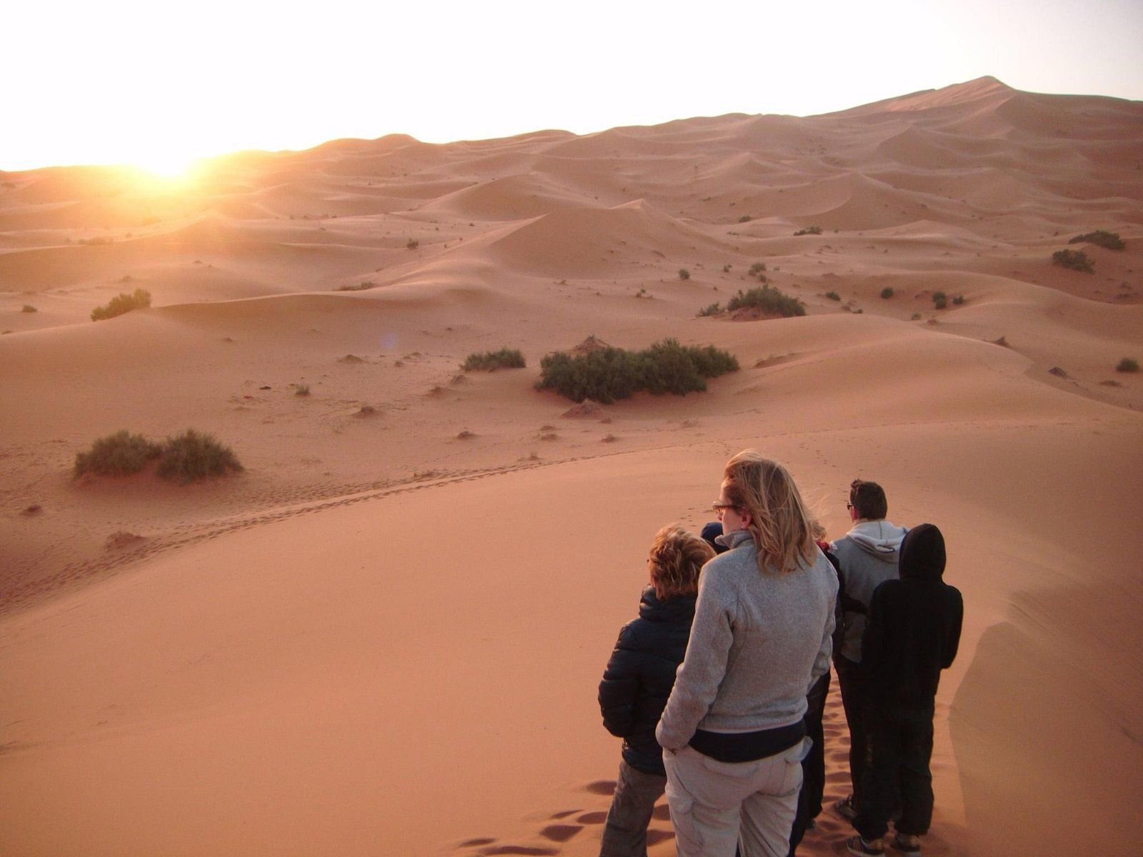 The wind-sculpted ridgelines of the Erg Chebbi dunes near Merzouga