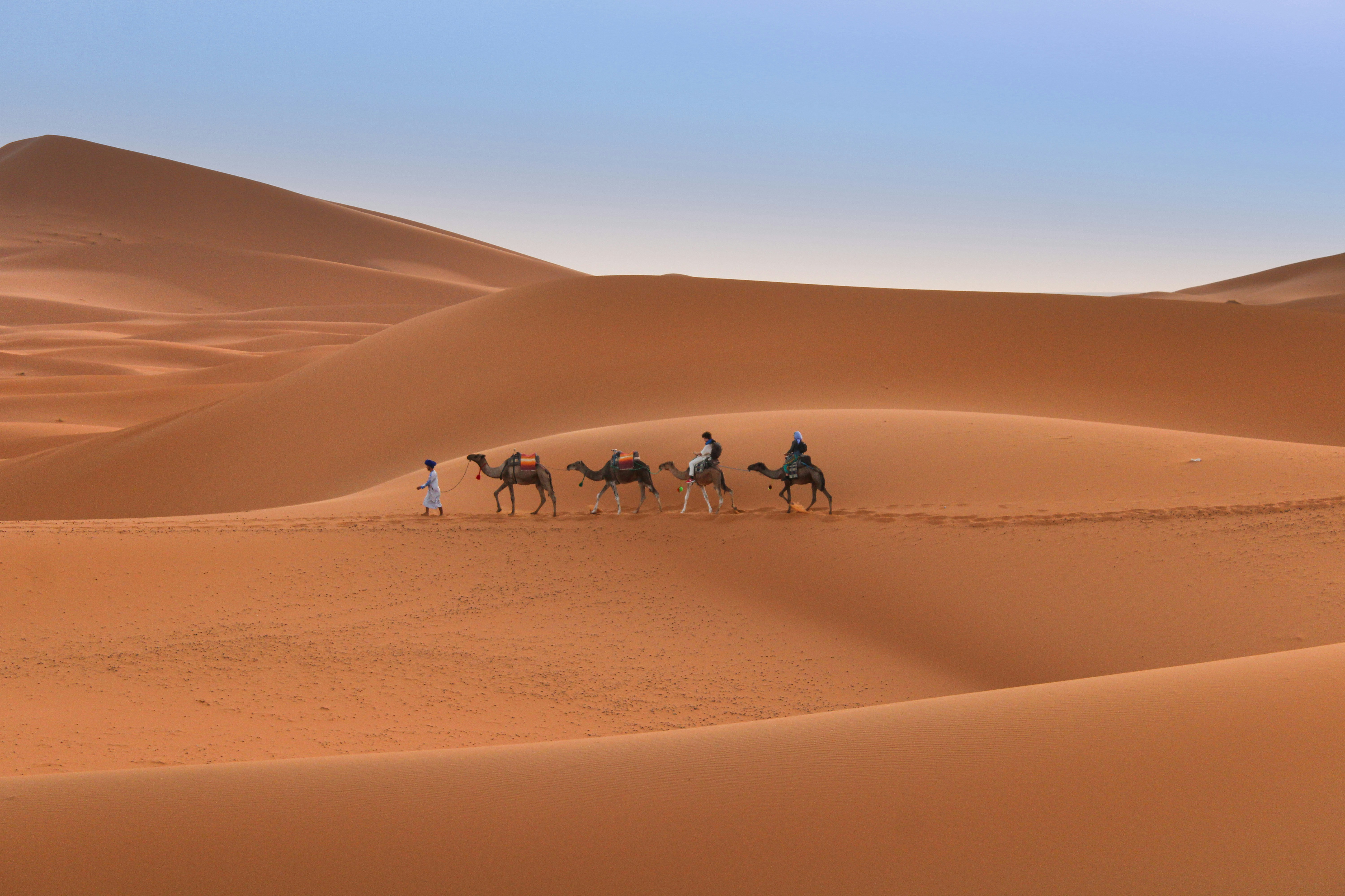 How to Book Camel Trekking Tours in Merzouga
