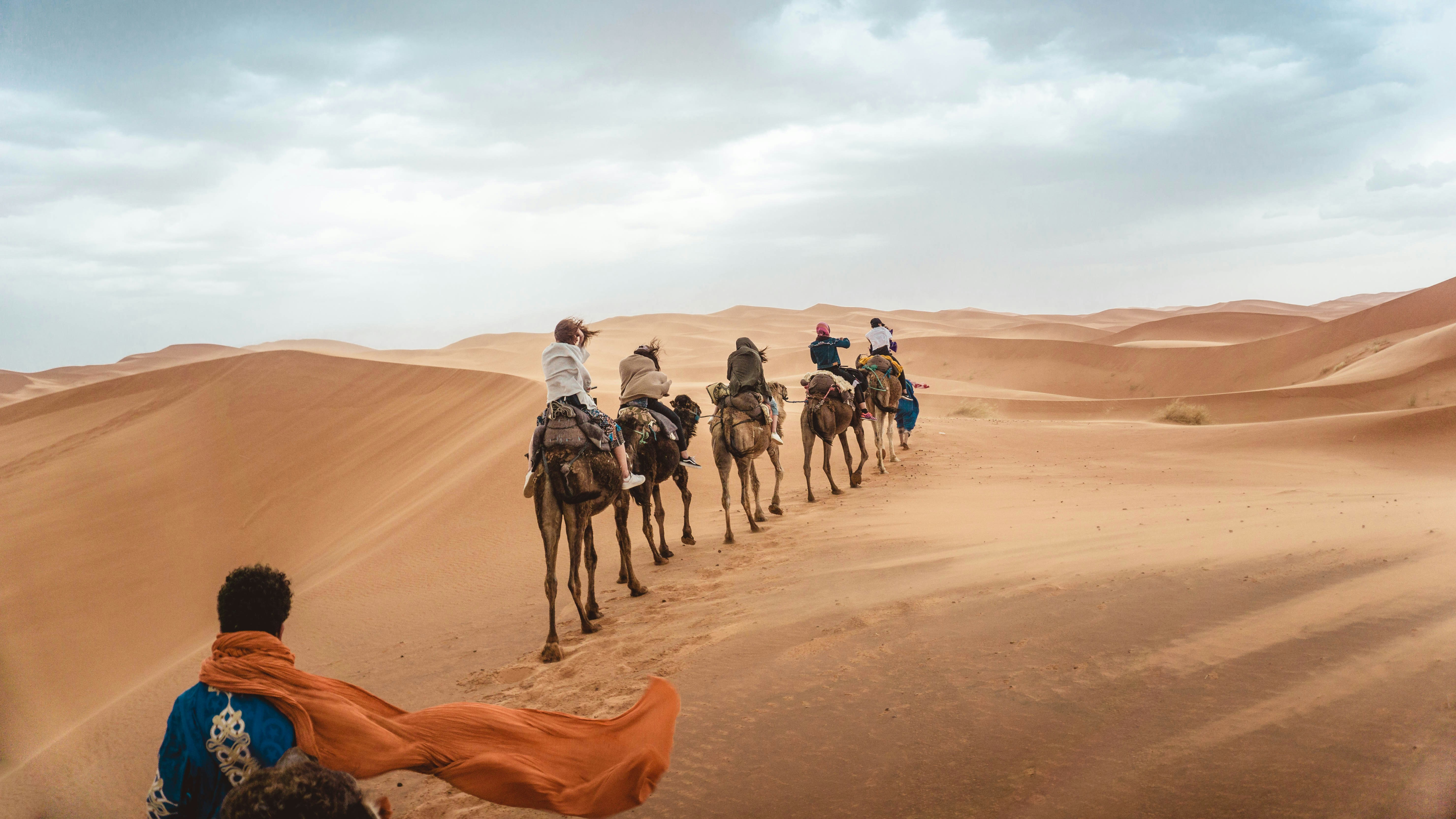 How to arrange a reliable camel trek for sunset and sunrise